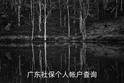 廣東社保個人帳戶查詢
