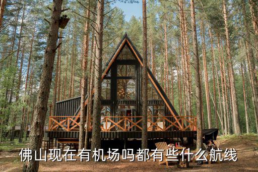 佛山現(xiàn)在有機場嗎都有些什么航線