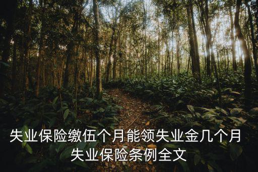 失業保險繳伍個月能領失業金幾個月 失業保險條例全文
