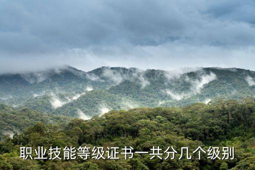 職業(yè)技能等級證書一共分幾個級別
