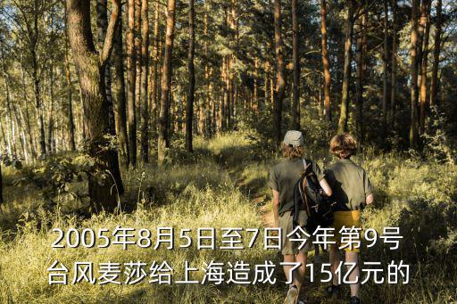 2005年8月5日至7日今年第9號臺風麥莎給上海造成了15億元的