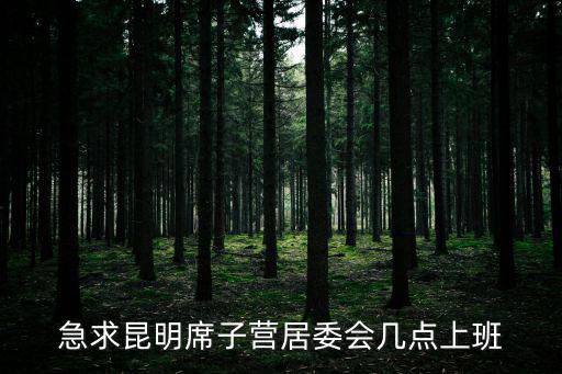 急求昆明席子營(yíng)居委會(huì)幾點(diǎn)上班