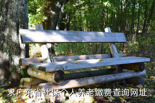 求廣東省社保個人養老繳費查詢網址