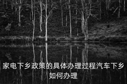 家電下鄉政策的具體辦理過程汽車下鄉如何辦理
