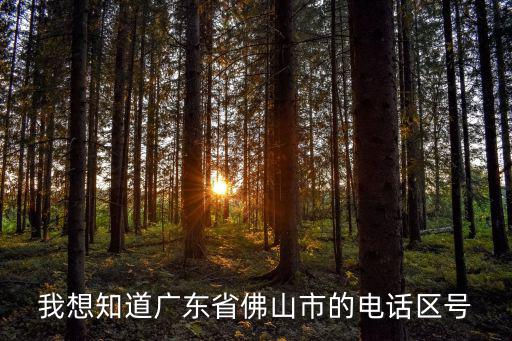 我想知道廣東省佛山市的電話區號