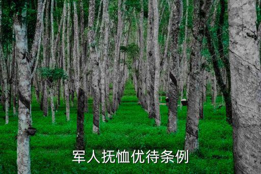 軍人撫恤優(yōu)待條例