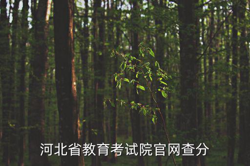河北省教育考試院官網查分