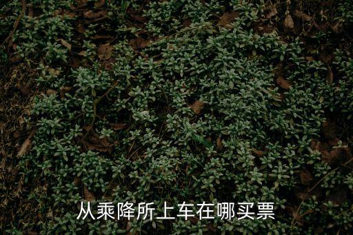 從乘降所上車在哪買票