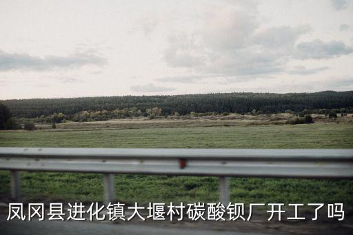 鳳岡縣進化鎮大堰村碳酸鋇廠開工了嗎