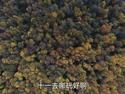 十一去哪玩好啊