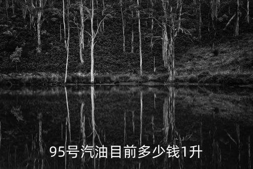 95號汽油目前多少錢1升
