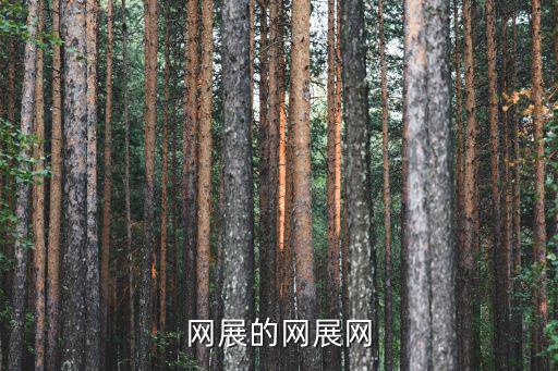 網展的網展網