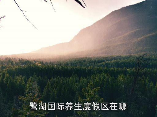鷺湖國際養生度假區在哪