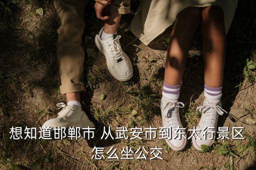 想知道邯鄲市 從武安市到東太行景區怎么坐公交