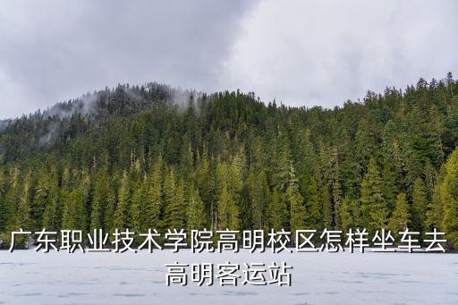 廣東職業(yè)技術(shù)學(xué)院高明校區(qū)怎樣坐車去高明客運(yùn)站