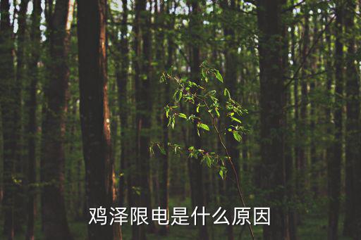 雞澤限號，雞澤限電是什么原因