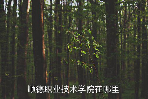 順德職業技術學院在哪里