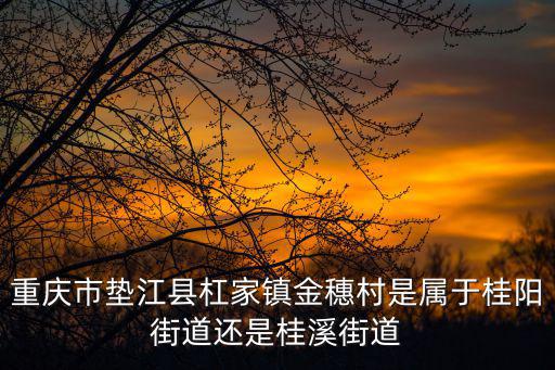 重慶市墊江縣杠家鎮金穗村是屬于桂陽街道還是桂溪街道