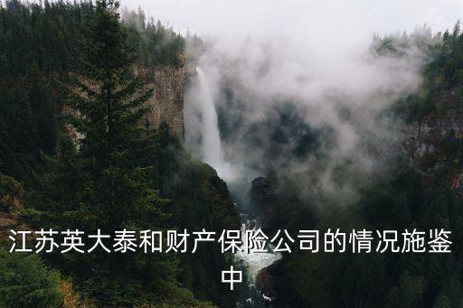 英大泰和財產保險公司，英大泰和保險公司是國企還是央企