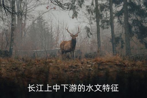 長(zhǎng)江水文，長(zhǎng)江水文基本情況
