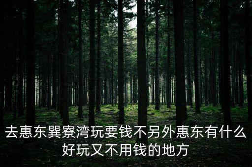 巽寮灣在哪里，去惠東巽寮灣玩要錢(qián)不另外惠東有什么好玩又不用錢(qián)的地方