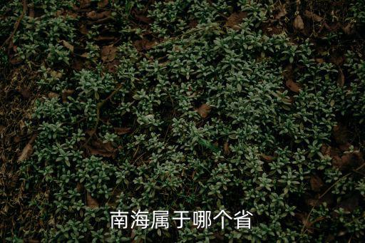 南海屬于哪個省