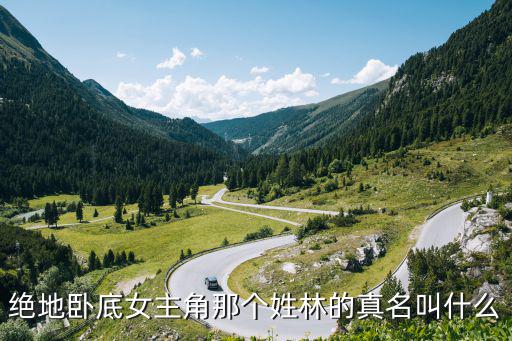 林和順，絕地臥底女主角那個(gè)姓林的真名叫什么
