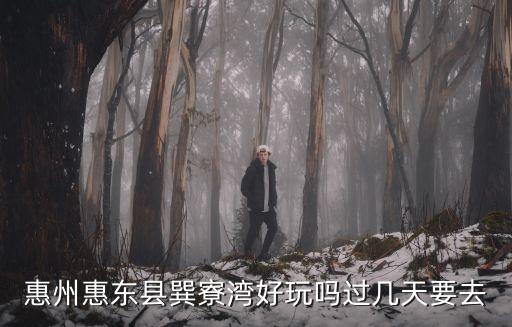 廣東惠州巽寮灣，惠州巽寮灣有什么玩的 一天