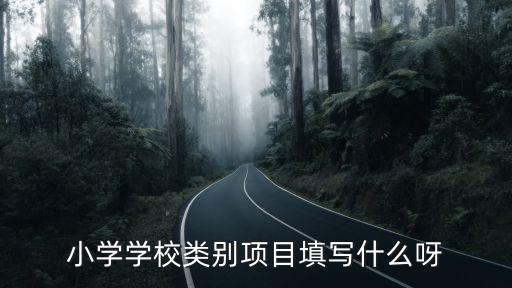 小學學校類別項目填寫什么呀