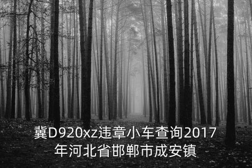 冀D920xz違章小車查詢2017年河北省邯鄲市成安鎮
