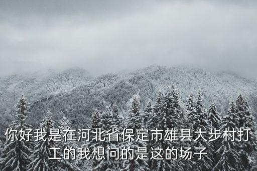 你好我是在河北省保定市雄縣大步村打工的我想問(wèn)的是這的場(chǎng)子
