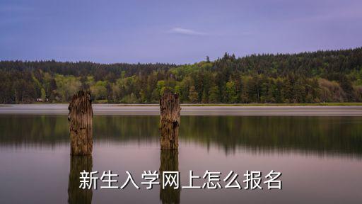 新生入學網上怎么報名