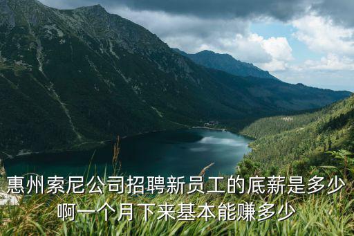 惠州索尼公司招聘新員工的底薪是多少啊一個(gè)月下來(lái)基本能賺多少