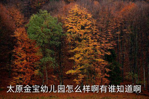 太原金寶幼兒園怎么樣啊有誰知道啊
