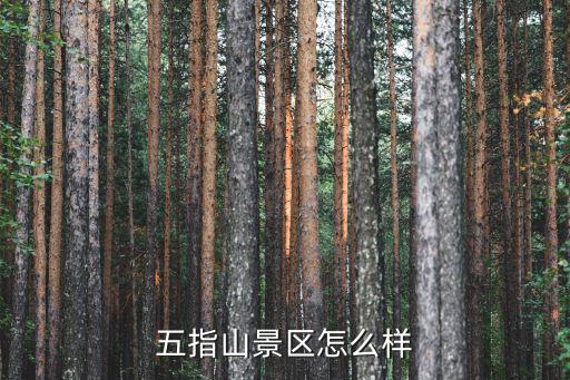 五指山景區(qū)怎么樣