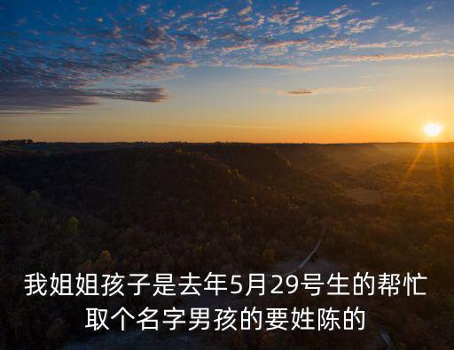 我姐姐孩子是去年5月29號生的幫忙取個名字男孩的要姓陳的