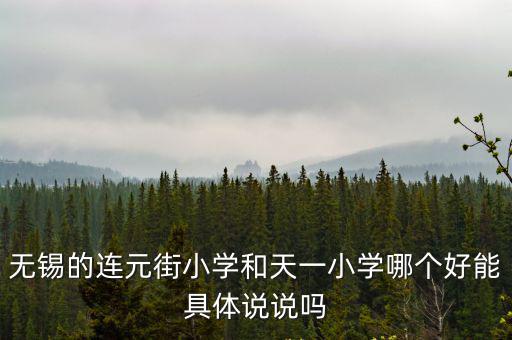 無錫的連元街小學和天一小學哪個好能具體說說嗎