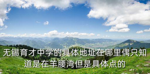 無錫育才中學的具體地址在哪里偶只知道是在羊腰灣但是具體點的