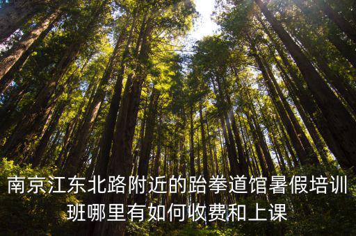 南京江東北路附近的跆拳道館暑假培訓(xùn)班哪里有如何收費和上課