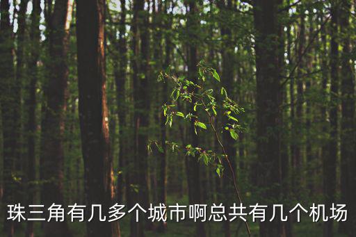 珠三角有幾多個(gè)城市啊總共有幾個(gè)機(jī)場(chǎng)