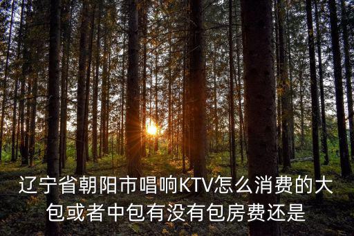 遼寧省朝陽市唱響KTV怎么消費(fèi)的大包或者中包有沒有包房費(fèi)還是