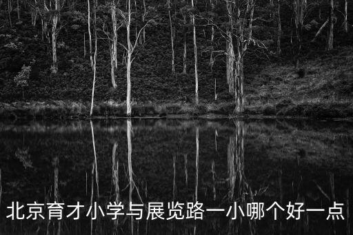 北京育才小學與展覽路一小哪個好一點