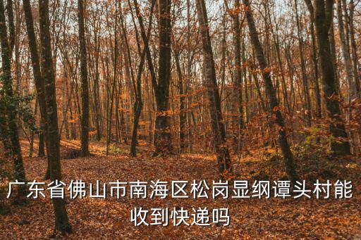 廣東省佛山市南海區松崗顯綱譚頭村能收到快遞嗎