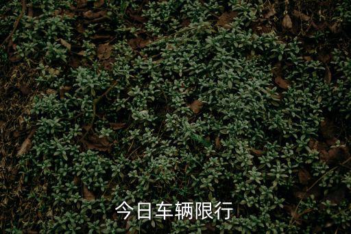 今日限行，今日限行尾號2和7除早晚高峰時段限行外其他時間段能不能開成都市