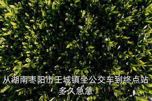 從湖南棗陽市王城鎮(zhèn)坐公交車到終點站多久急急