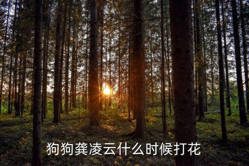 狗狗龔凌云什么時候打花