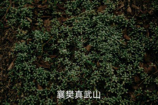 真武山，富順原來有叫真武山的地方嗎