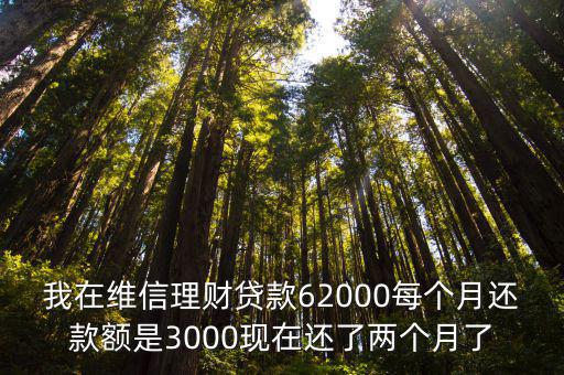 我在維信理財貸款62000每個月還款額是3000現在還了兩個月了