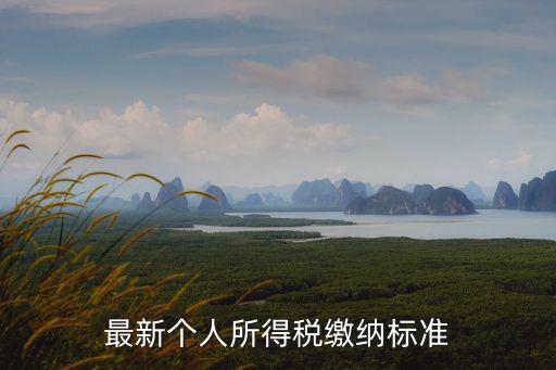 最新個人所得稅繳納標準