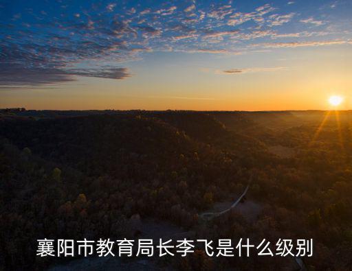 襄陽市教育局長李飛是什么級別